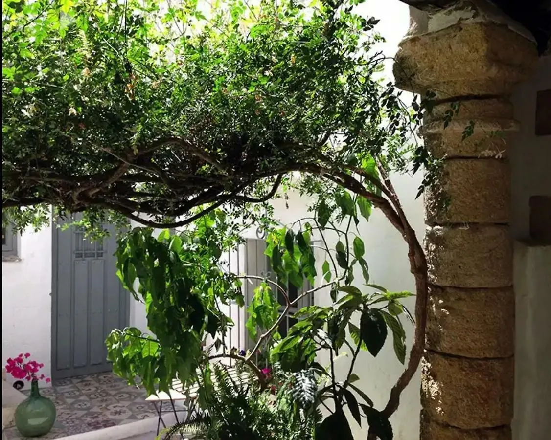 Apartamento Casa La Pila-FondaAntigua Vejer de la Frontera